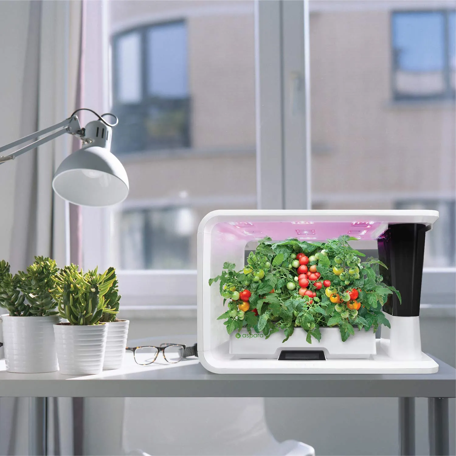 AS1001WH - aspara Nature Smart IoT Hydroponic Grower/Growing System, 16 Grow pods, 10 sensors, All Seasons Indoor Garden/Support Apple iOS and Google Android app