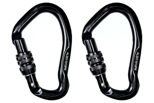 HUNTER SAFTEY SYSTEM 2-PACK CARABINER