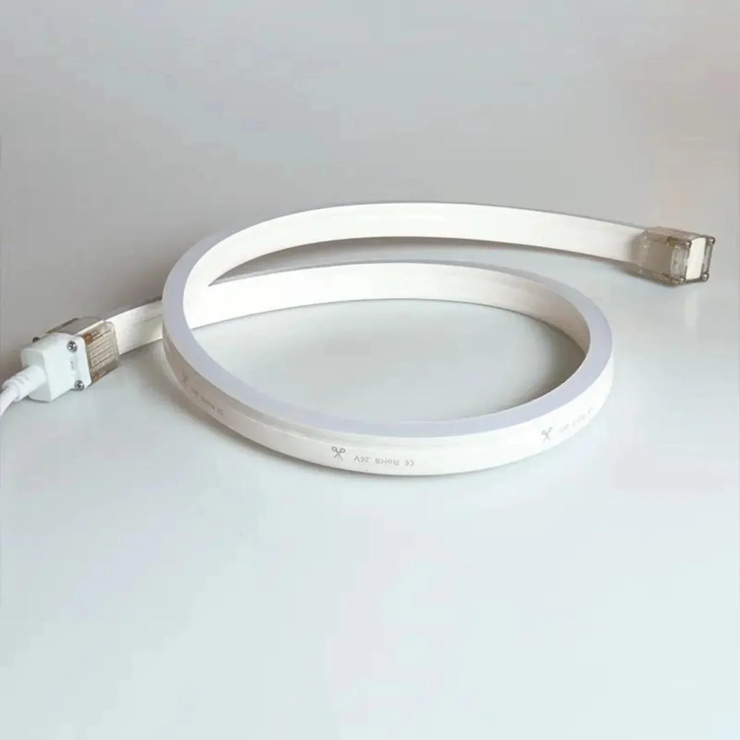 Outdoor RGB Flexible Lights for Patio & Driveway 48V IP68 30m